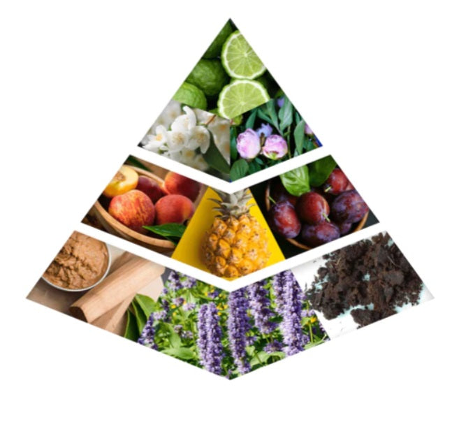 HAREEM SULTAN GOLD 35 ML Fragancia Árabe Concentrado + regalo de 20ml